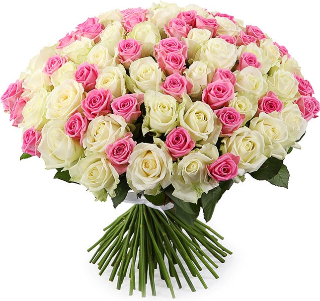 Розы Россия Микс № 1