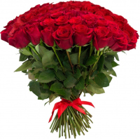 Розы Эквадор красные