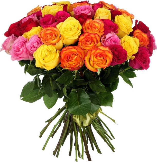 Розы Эквадор микс № 3 Розы Эквадор микс № 3