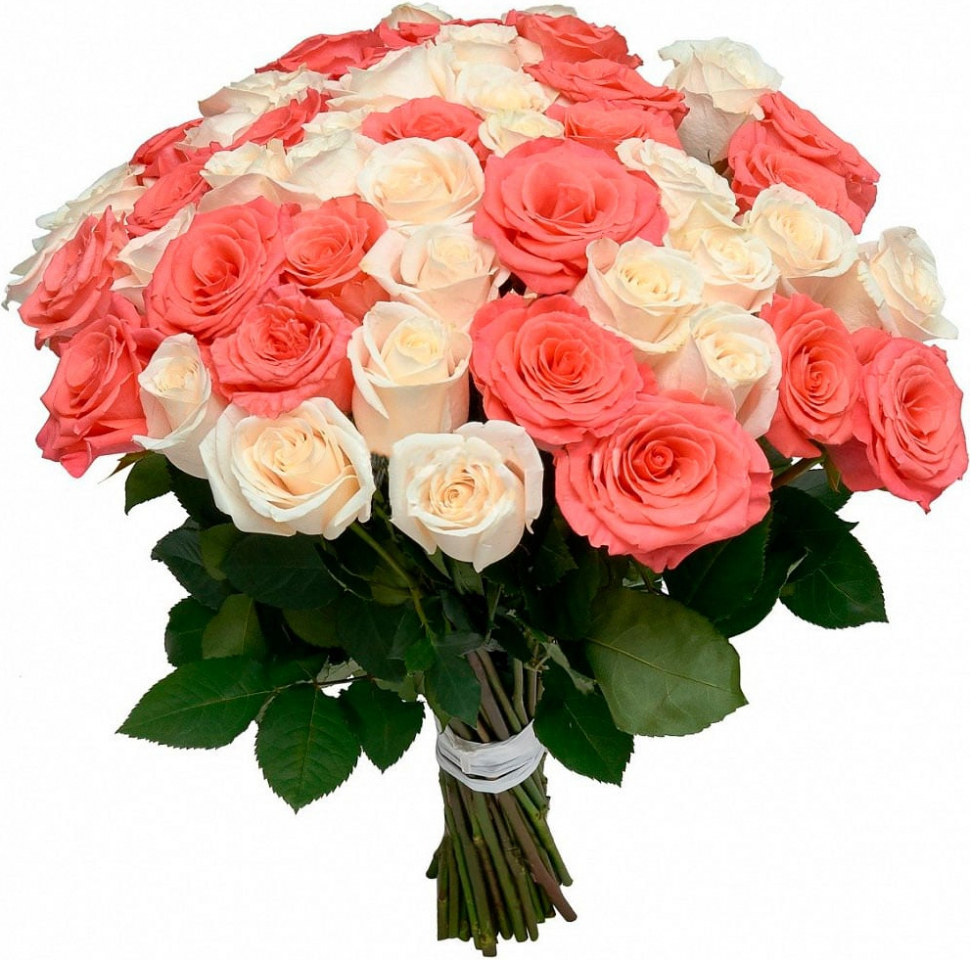 Розы Эквадор микс № 4 Розы Эквадор микс № 4