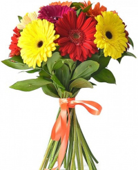 Герберы микс №2